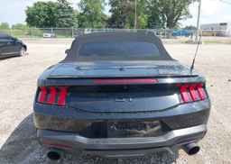 2024 FORD Mustang Convertible