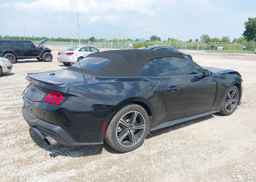 2024 FORD Mustang Convertible