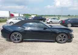 2024 FORD Mustang Convertible