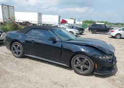 2024 FORD Mustang Convertible