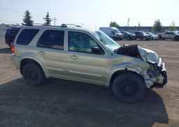 2004 FORD ESCAPE LIMITED