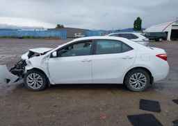 2019 TOYOTA COROLLA LE