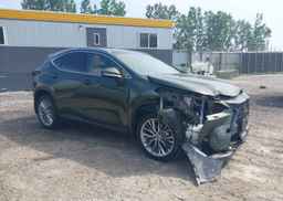 2023 LEXUS NX 350H