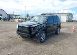 2010 FORD ESCAPE LIMITED