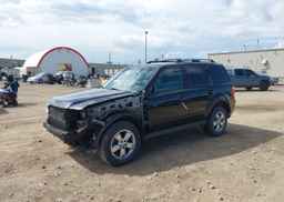 2010 FORD ESCAPE LIMITED