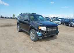 2010 FORD ESCAPE LIMITED