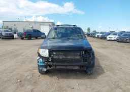 2010 FORD ESCAPE LIMITED