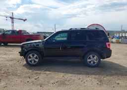 2010 FORD ESCAPE LIMITED