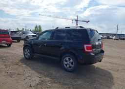 2010 FORD ESCAPE LIMITED