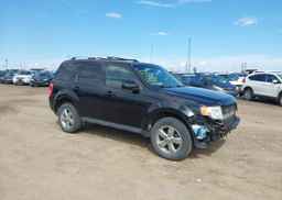 2010 FORD ESCAPE LIMITED