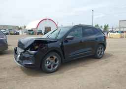 2024 FORD ESCAPE ST LINE