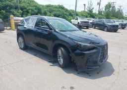 2024 LEXUS NX 350H