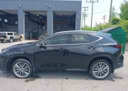 2024 LEXUS NX 350H
