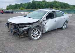 2011 NISSAN MAXIMA