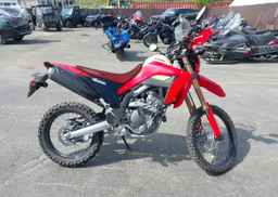 2024 HONDA CRF300 LA