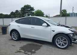 2023 TESLA MODEL Y RWD