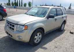 2010 FORD ESCAPE XLT