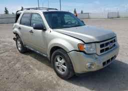 2010 FORD ESCAPE XLT