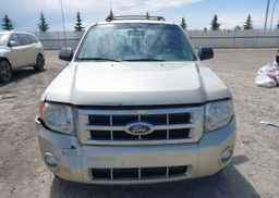 2010 FORD ESCAPE XLT