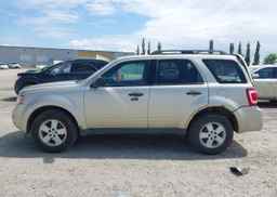 2010 FORD ESCAPE XLT