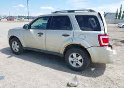 2010 FORD ESCAPE XLT