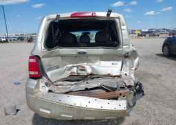 2010 FORD ESCAPE XLT