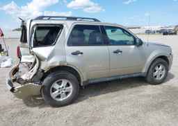 2010 FORD ESCAPE XLT