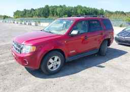 2008 FORD ESCAPE XLT