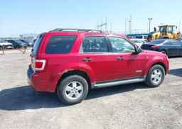 2008 FORD ESCAPE XLT
