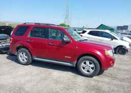 2008 FORD ESCAPE XLT