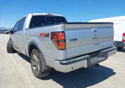 2013 FORD F-150 FX4