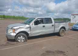 2010 FORD F-150 FX4