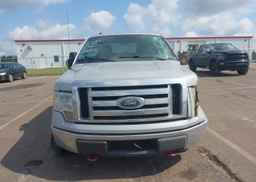 2010 FORD F-150 FX4