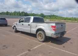 2010 FORD F-150 FX4