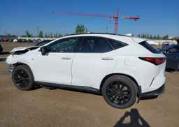 2023 LEXUS NX 350