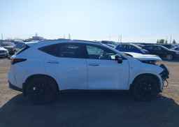 2023 LEXUS NX 350
