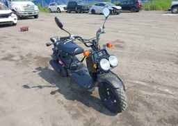 2013 HONDA NPS50