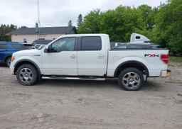 2009 FORD F150 SUPERCREW