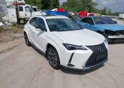 2025 LEXUS UX 300H