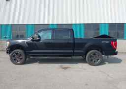 2023 FORD F150 SUPERCREW