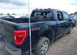 2023 FORD F150 SUPERCREW