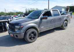 2014 FORD F-150 FX4