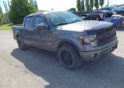 2014 FORD F-150 FX4