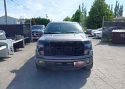 2014 FORD F-150 FX4
