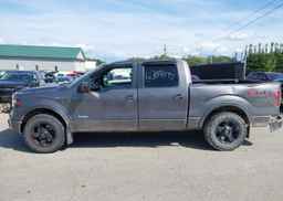 2014 FORD F-150 FX4