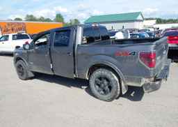 2014 FORD F-150 FX4