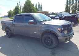 2014 FORD F-150 FX4