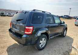2009 FORD ESCAPE XLT