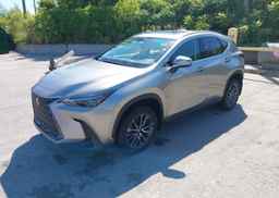 2024 LEXUS NX 350H