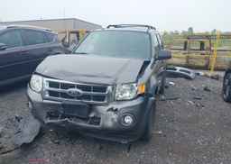 2011 FORD ESCAPE XLT